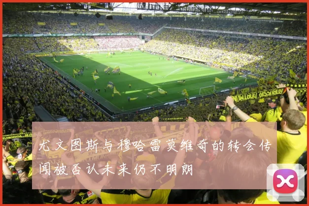 尤文图斯与穆哈雷莫维奇的转会传闻被否认未来仍不明朗