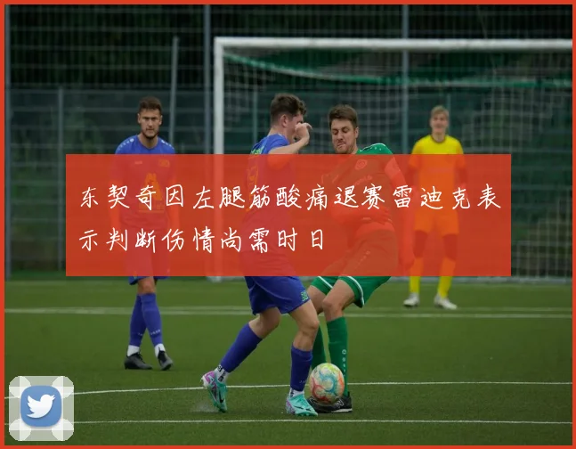 东契奇因左腿筋酸痛退赛雷迪克表示判断伤情尚需时日